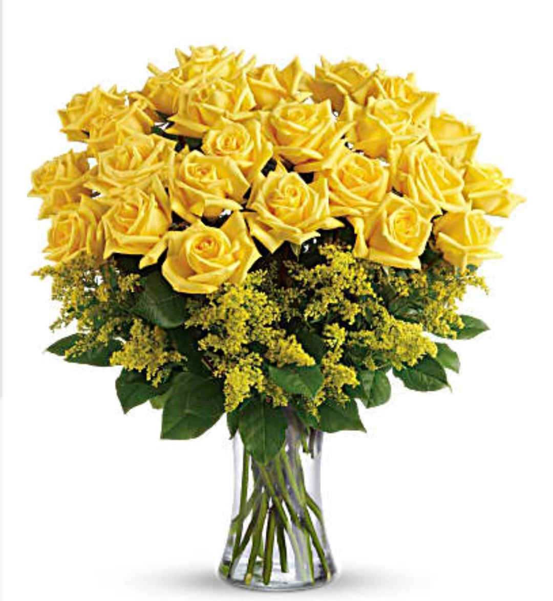 Roses all colors Gamiel Syria